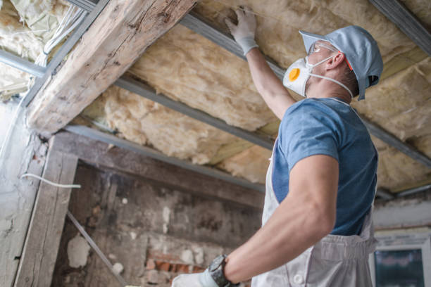 Insulation Inspection Services in Addison, TX