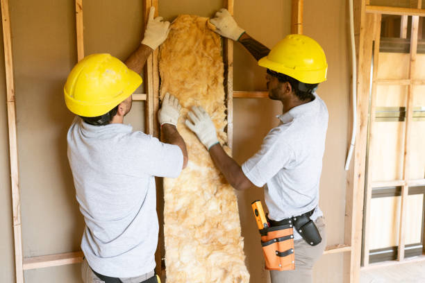 Best Insulation Removal  in Addison, TX