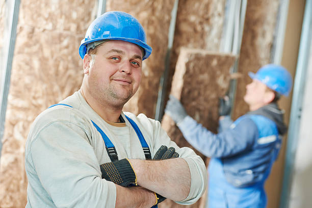 Best Insulation Replacement Services  in Addison, TX