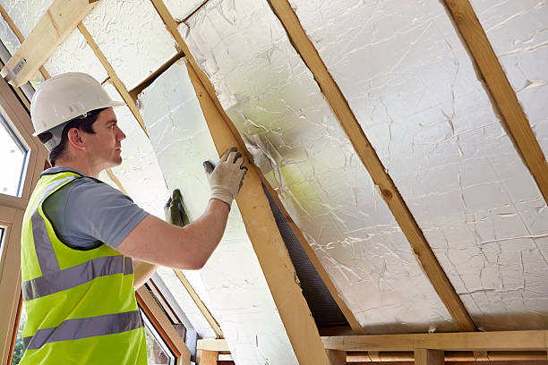 Best Insulation Inspection Services  in Addison, TX